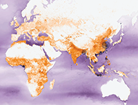WWF-Global Plastik Navigtor